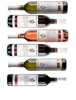 Víno z Kobylí Degustační sada III 